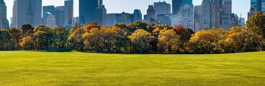 EAST MEADOW